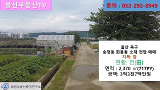 [울산부동산TV] 울산 북구 단독필지로도 농협 조합원이 가능하고 저렴한 농지 매매 소식입니다. 도심에서 10분 거리입니다.