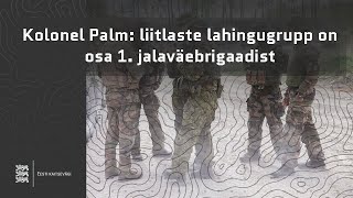 Kolonel Palm: liitlaste lahingugrupp on osa 1. jalaväebrigaadist