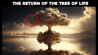 Details About The Tree Of Life Many Don't Know