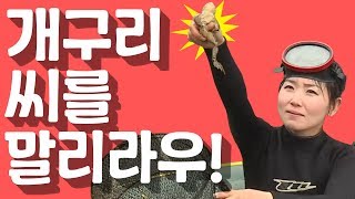 [세이하이 탈북미녀] 베어그릴스도 울고 갈 북한 미녀 송이의 개구리 사냥 (ft. 물고기는 덤♥)