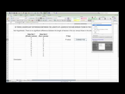 Carrying out a T-Test in Microsoft Excel Carrying out a T-Test in Microsoft Excel