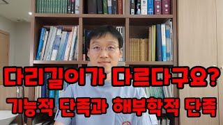 다리길이가 다르다구요? 이 말을 그대로 받아들이면 안되요!! 기능적 단족과 해부학적 단족