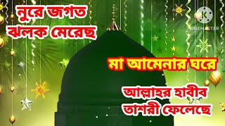 ভবপুরে মা আমেনার ঘরে, আল্লাহর হাবীব তাশরী ফেলেছে, শিল্পী ইয়ামিন সরকার।