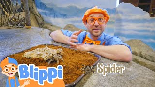 Blippi at the Zoo - Feeding the Animals | Learning Videos For Kids | Education Show For Toddlers