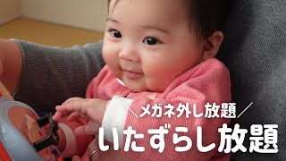 【生後179日】おもちゃの音にびっくりして固まっちゃう生後5ヶ月の赤ちゃんに癒される (Day 179. Ponu got a new toy!)