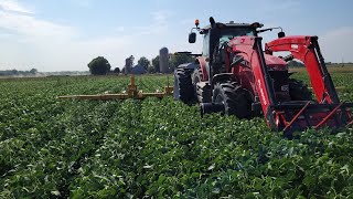 row crop cultivating soybeans? what on Earth