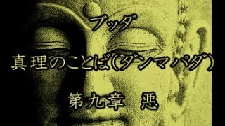 ブッダ の 真理 の ことば ダンマパダ 第九章  悪   法句経