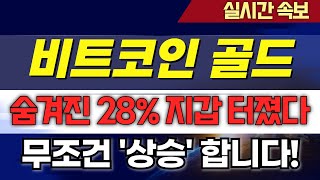 비트코인골드 숨겨진 28% 지갑 터졌다 ! 무조건 상승합니다!