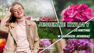 Jesienne kwiaty - co kwitnie w ogrodzie jesienią?