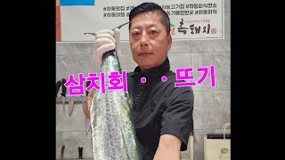 갈치낚시  낚시로 잡은 대삼치 회뜨기ㆍㆍㆍ전 삼치 손질 하는법ㆍㆍ포뜨기ㆍㆍ