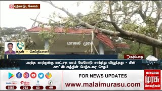 வேரோடு சாய்ந்த ராட்சத மரம் - மீன் காட்சியகத்தில் மேற்கூரை சேதம்