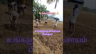 விவசாயி 😭#agriculture #life #விவசாயி #விவசாயம்