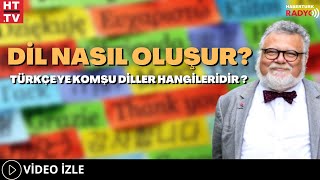 Dil Nasıl Oluşur, Türkçe'ye Komşu Diller Hangileridir?