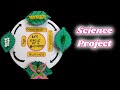 Life Cycle of a Butterfly Step by Step || 3D Model Science Project || Model of EVS Project making.