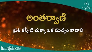 అంతర్వాణి | ప్రతి కన్నీటి చుక్కా ఒక ముత్యం కావాలి | Heartfulness Telugu | 05-02-2024