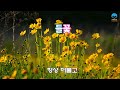 들꽃.조용필.나 그대만을.저 바위 틈에.7080노래.노래자막