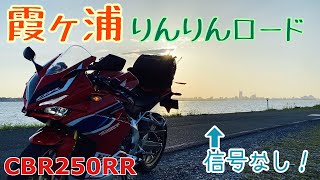 [モトブログ]霞ヶ浦りんりんロードは信号なしの超快適ツーリングルートだった［CBR250RR］