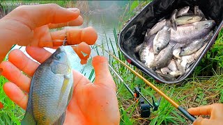 Caught a lot of fish /ស្ទូចត្រីថ្ងៃនេះបានច្រើនគួរសម