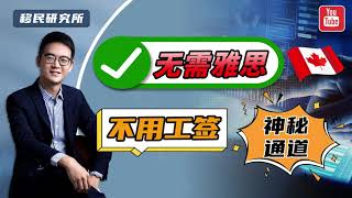 国内IT人士怎么移民加拿大?神秘通道开启,无雅思、免工签！#移民 #移民加拿大 #加拿大移民 #加拿大雇主担保 #加拿大雇主担保移民 #加拿大省提名 #加拿大移民方案 #加拿大技术移民 #加拿大枫叶卡