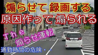 This is the reason why Japanese people drive like crap