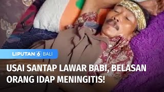 Kena Meningitis Usai Makan Lawar Babi | Liputan 6 Bali