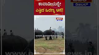 Mysuru Dasara 2024 : ಸಿಡಿಮದ್ದಿನ ಸದ್ದಿಗೆ ಕಾವಾಡಿಯನ್ನೇ ಎತ್ತಿದ ಹಿರಣ್ಯ ಆನೆ! | Hiranya Elephant | Power TV