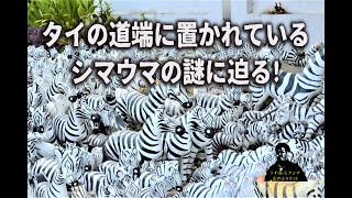 タイの道端に置いてあるシマウマの置物の謎に迫ってみたら最後にバチが当たる【亜細亜熱帯怪談】