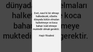 Evet, nasıl ki bir elmayı halkedecek; elbette dünyada bütün elmaları halketmeye ve koca baharı îcad