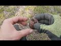 metal detecting in an old war zone in finnish lapland. ww2 metaldetecting treasuhunting