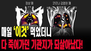 매일 '이것' 먹었더니 다 죽어가던 기관지가 되살아났다!