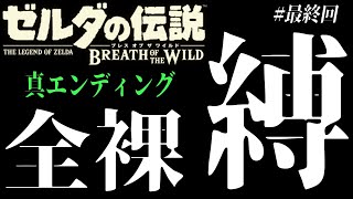 最終回【 ゼルダの伝説BOTW 】今更やる完全初見ブレスオブザワイルド【 ゼルダの伝説 BREATH OF THE WILD 】