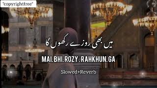 Main bhi rozy rakhun ga||Ramzan Special||Slowed and Reverb||Copyrightfree