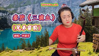 秦腔《三滴血》选段《兄弟窗前》，演唱：李淑芳