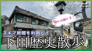 【vlog】3時間でめぐる下田歴史散歩の旅 下田ロープウェイ〜ペリーロード〜下田公園〜道の駅 開国下田みなと〜まどが浜 海遊公園 2022年8月