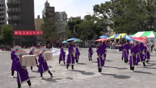 夏龍颯爽（深川よさこい2013）