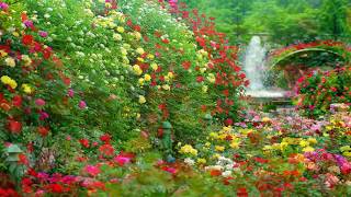 Relaxing Music | 10 Beautiful Garden's |  Copyright Free Music | Free Video | Meditation Calm Music