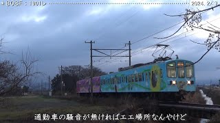 近江鉄道日記　808Ｆ糠塚＆802Ｆ蛇溝　（2024.2/7）　　　  　　巛巛