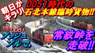 朝日がギラリ！DD51時代の石北本線 臨時貨物列車！！DD51プッシュプルで常紋峠を走破！！#常紋峠#DD51#石北臨貨#たまねぎ列車