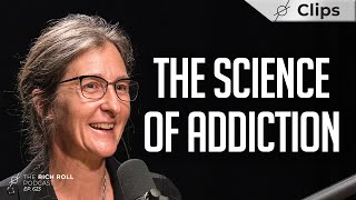 Living in a "Dopamine Nation": The Neuroscience of Addiction w/ Anna Lembke