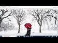 Snow Fall Effect Using HTML & CSS