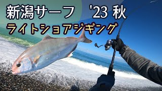 【ライトショアジギング】秋の新潟サーフ2023＊カンパチ・イナダ＊日本海