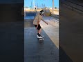 fake steeze or not skate skateboarding shorts