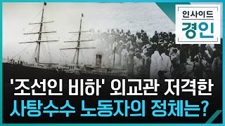 '조선인 비하' 외교관 저격한 사탕수수 노동자의 정체는? [인사이드 경인] / KBS 2023.01.13.