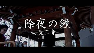 しんことにテレビゆく年くる年