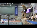 2015 Arena Pro Swim Series at Austin: Men’s 200m Breast A Final