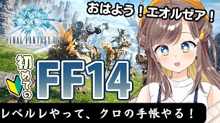 【FF14】【朝活！おはようエオルゼア！】レベルレやって、風脈集める！！