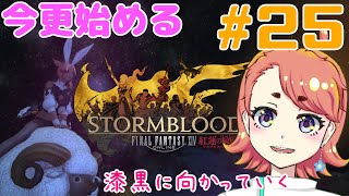 【FFXIV #25】漆黒を目指しつつ寄り道しつつ【Vtuber】