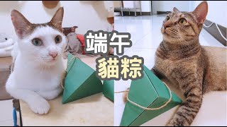 【貓玩具】端午貓粽～幫貓製作藏食玩具！一起來做貓玩具！#7