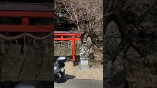 奈良県奈良市興ヶ原町天満神社⛩