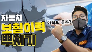 보험 이력만 확인해도 좋은 중고차 살 수 있다![자동차 보험 이력]